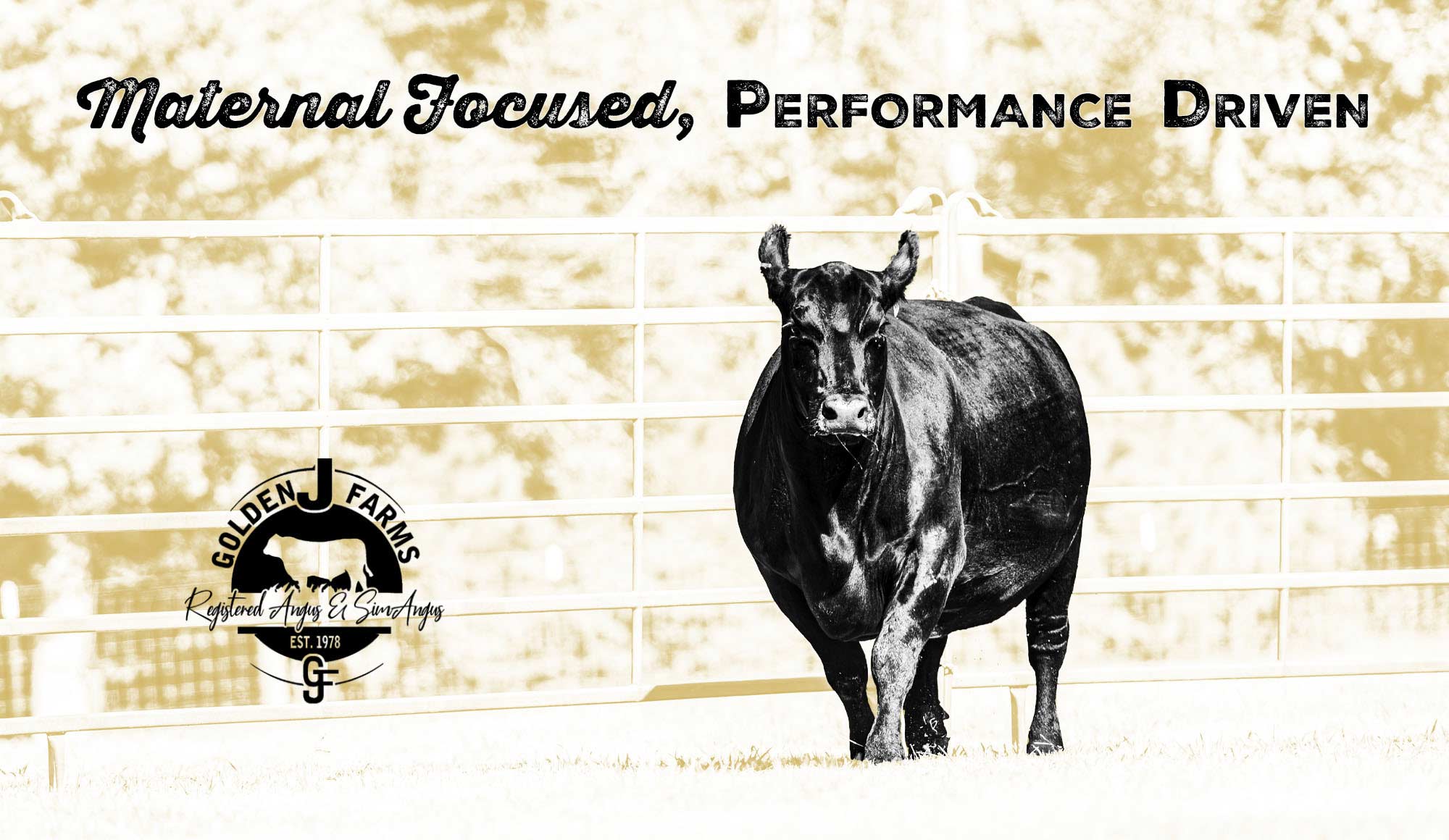 Golden J Farms Banner